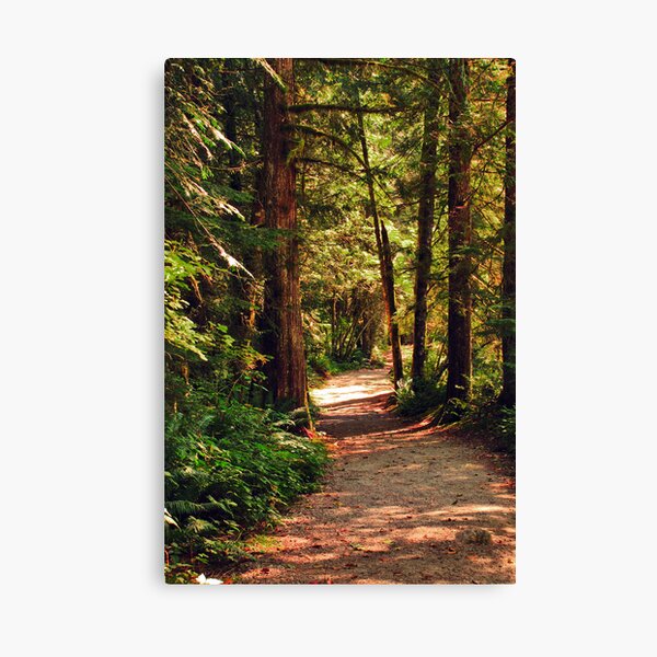 Item preview, A Walk through the Woods designed and sold by MaluC.
