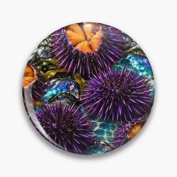 Item preview, Kina or Sea urchin designed and sold by Traydd.