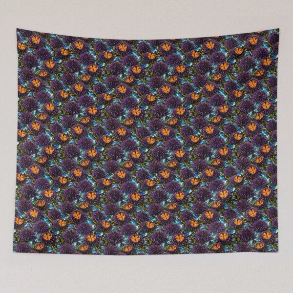Item preview, Kina or Sea urchin designed and sold by Traydd.