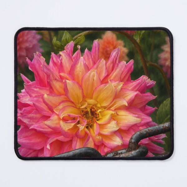 Item preview, Pink Dahlia in Chains designed and sold by Sarah Curtiss.