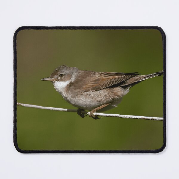 Item preview, Common Whitethroat Birdwatching Nature Lover Wildlife designed and sold by crayssmoS.