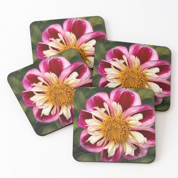 Item preview, Pink and white dahlia designed and sold by Sarah Curtiss.