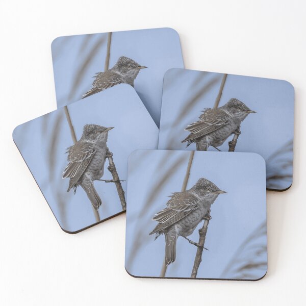 Item preview, Wild Bird Nature Wildlife Bird Watching Enthusiast designed and sold by crayssmoS.