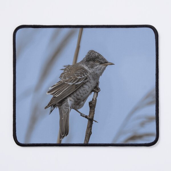 Item preview, Wild Bird Nature Wildlife Bird Watching Enthusiast designed and sold by crayssmoS.
