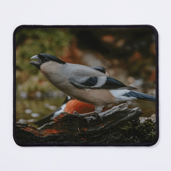 Item preview, Bullfinch Bird Watcher Nature Lover Wildlife Enthusiast designed and sold by crayssmoS.