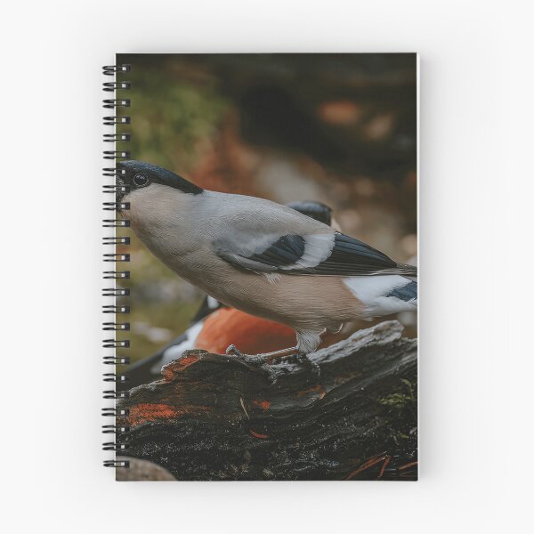 Item preview, Bullfinch Bird Watcher Nature Lover Wildlife Enthusiast designed and sold by crayssmoS.