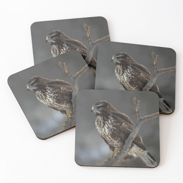 Item preview, Majestic Buzzard Bird Of Prey For Bird Watchers designed and sold by crayssmoS.