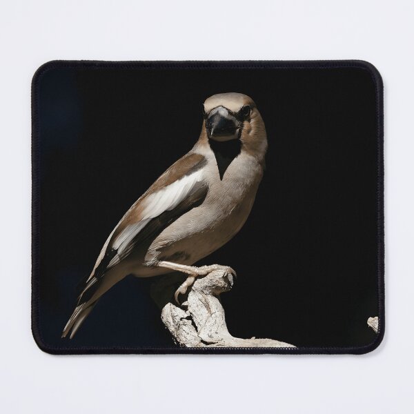 Item preview, Hawfinch Bird Watching Nature Lover designed and sold by crayssmoS.