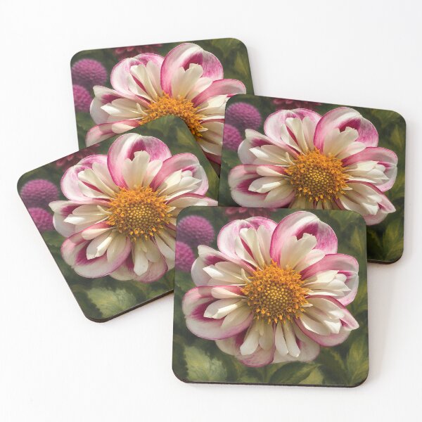 Item preview, White and pink dahlia designed and sold by Sarah Curtiss.