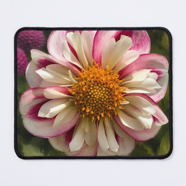 Item preview, White and pink dahlia designed and sold by Sarah Curtiss.