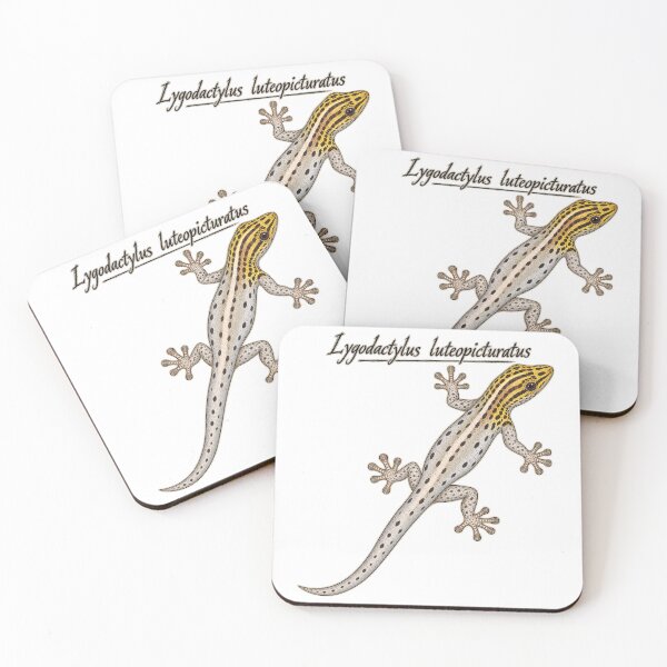 Item preview, Yellow-Headed Dwarf Gecko – Lygodactylus luteopicturatus designed and sold by threadandfangs.