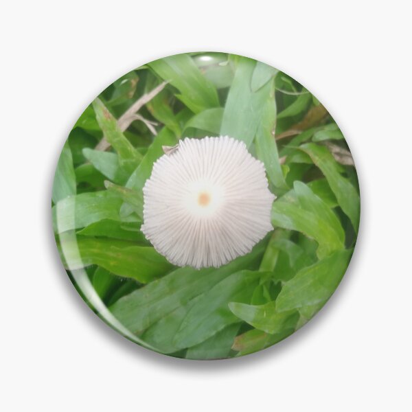Item preview, Tiny Mushroom  designed and sold by suvashbarman.