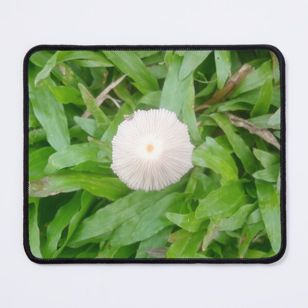 Item preview, Tiny Mushroom designed and sold by suvashbarman.