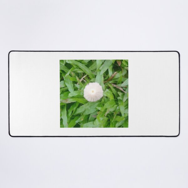 Item preview, Tiny Mushroom  designed and sold by suvashbarman.
