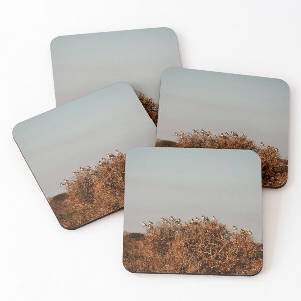 Item preview, Flock of Small Birds on Coastal Fynbos designed and sold by hanlahav.