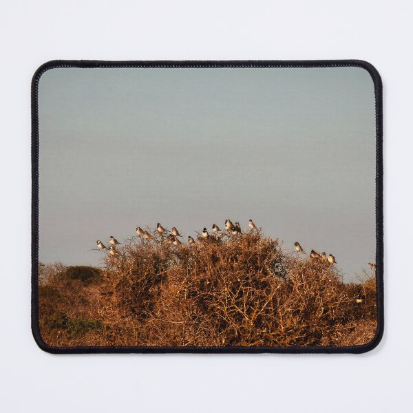Item preview, Flock of Small Birds on Coastal Fynbos designed and sold by hanlahav.