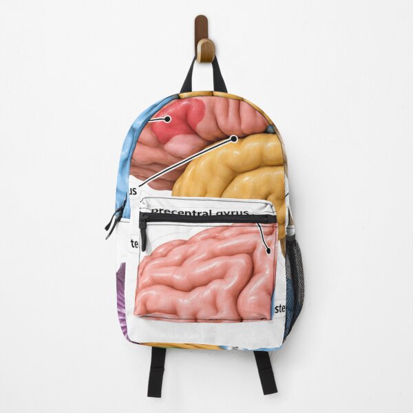 Item preview, Anatomy Brain Lobes 3D Physical Therapy Sticker designed and sold by isokinetic.