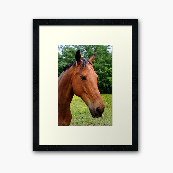 Item preview, Beautiful Horse designed and sold by MaluC.