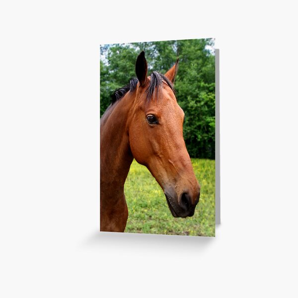 Item preview, Beautiful Horse designed and sold by MaluC.