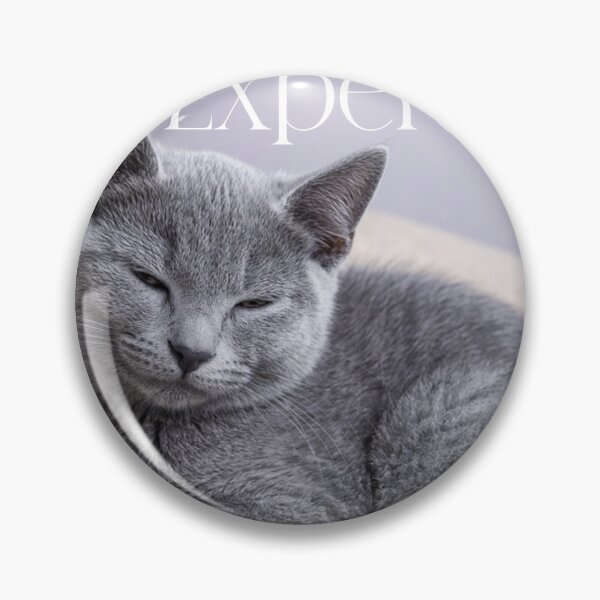 Item preview, Russian Blue Kitten Cuddle Expert Print designed and sold by pochop.