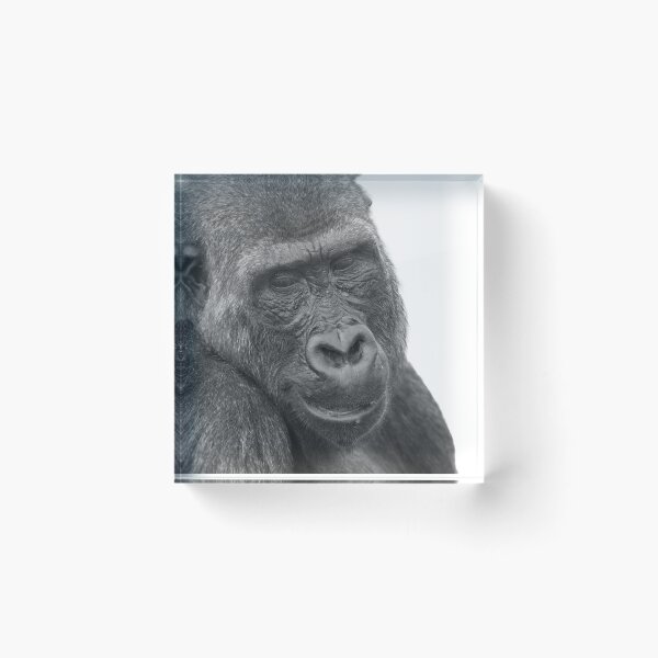 Item preview, Whispers in the Heat - Shufai Close Up designed and sold by rawshutterbug.