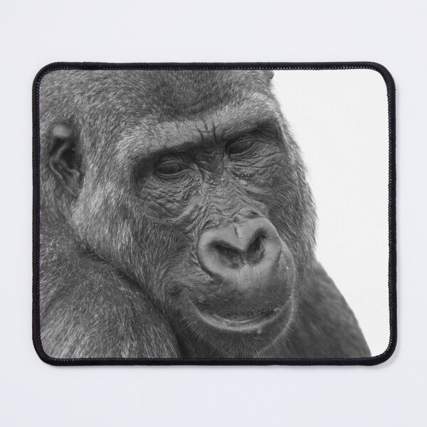 Item preview, Whispers in the Heat - Shufai Close Up designed and sold by rawshutterbug.
