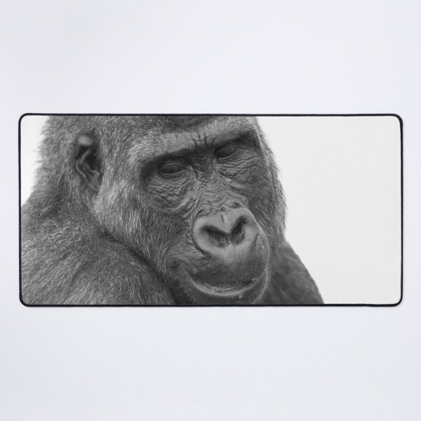 Item preview, Whispers in the Heat - Shufai Close Up designed and sold by rawshutterbug.