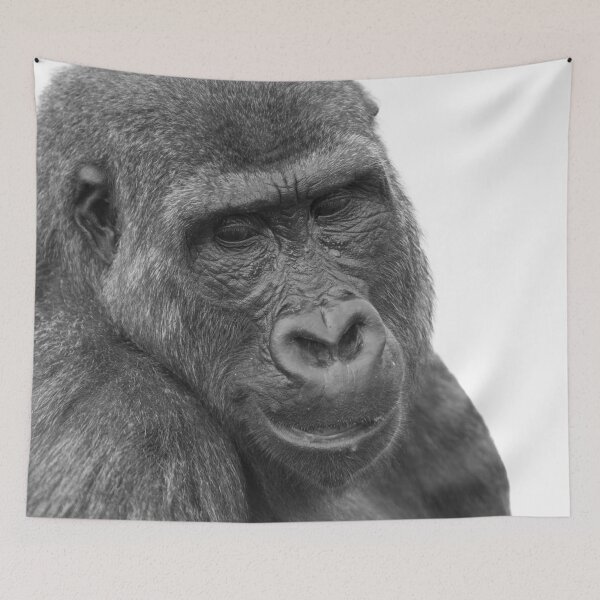 Item preview, Whispers in the Heat - Shufai Close Up designed and sold by rawshutterbug.