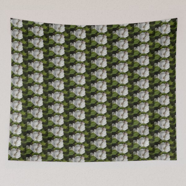 Item preview, Quince Flower in Spring – Magpie Springs Adelaide Hills designed and sold by MagpieSprings.