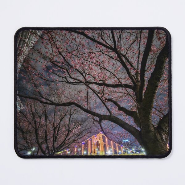 Item preview, Acogedora App Store de Apple: Hora del cuento en una cabaña designed and sold by MikebaserGray.