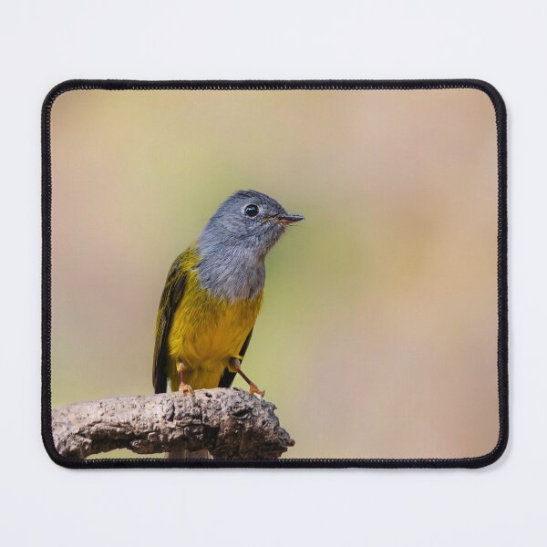 Item preview, Realistic Apple Wallet Lakeside Morning Scene designed and sold by mthnubc.