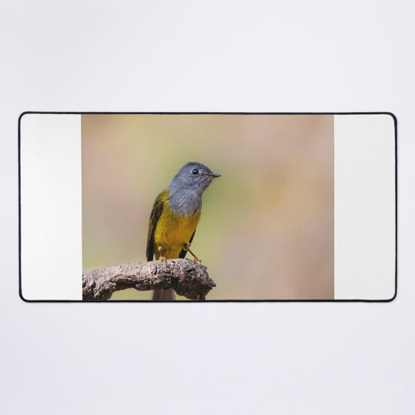 Item preview, Realistic Apple Wallet Lakeside Morning Scene designed and sold by mthnubc.