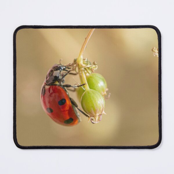 Item preview, Red Ladybug on Green Plant Macro designed and sold by Dzulo.