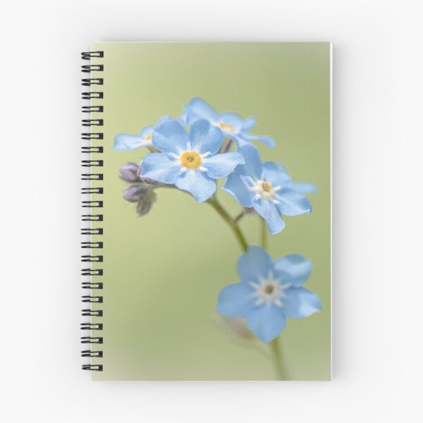 Item preview, Blue Forget Me Not Flowers Macro designed and sold by Dzulo.