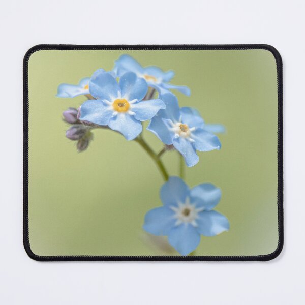 Item preview, Blue Forget Me Not Flowers Macro designed and sold by Dzulo.