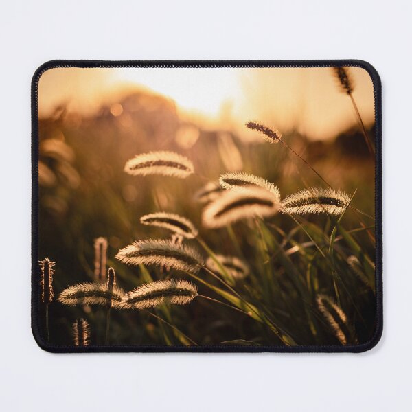 Item preview, ​Golden Hour Grass Fields at Sunset designed and sold by Dzulo.