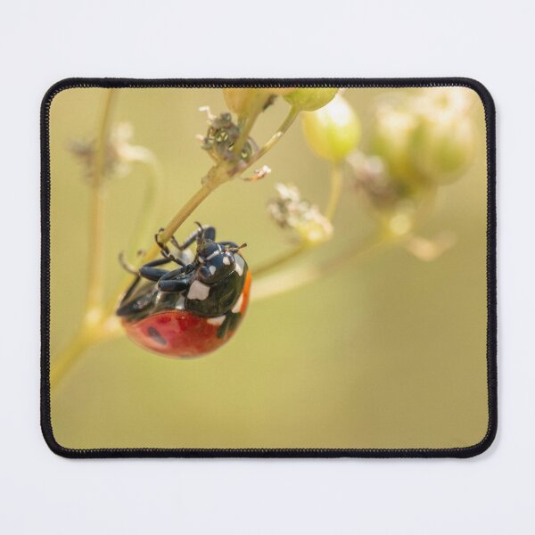 Item preview, Ladybug Hanging on Plant Macro designed and sold by Dzulo.