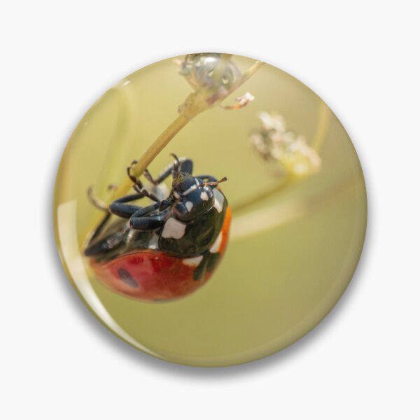 Item preview, Ladybug Hanging on Plant Macro designed and sold by Dzulo.