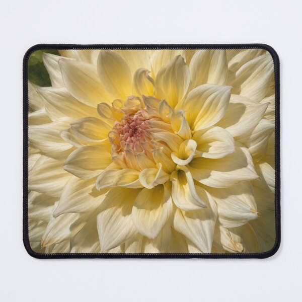 Item preview, White Dahliall designed and sold by Sarah Curtiss.