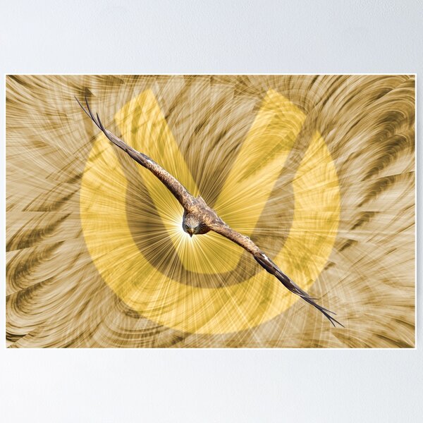 Item preview, Águila SVAG / Fotografía de obras de arte suizas designed and sold by Raphael Wolf.