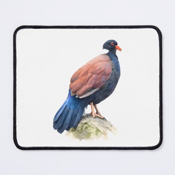 Item preview, Tooth-billed Pigeon (Manumea) designed and sold by HOMETOWN86.