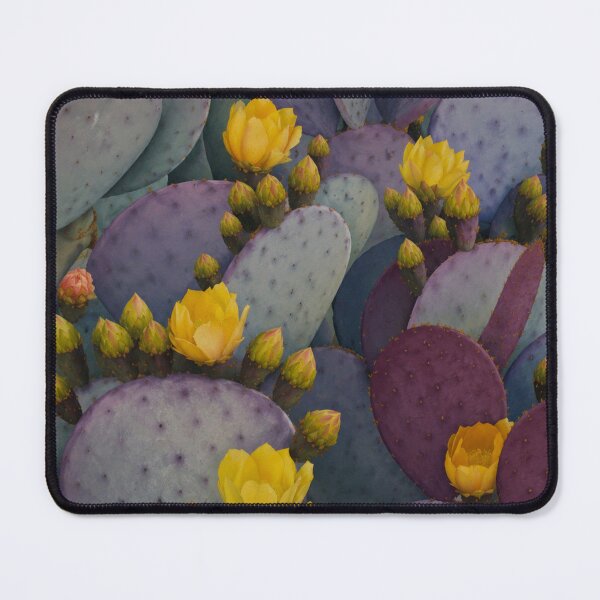Item preview, Cactus in Bloom designed and sold by Sarah Curtiss.