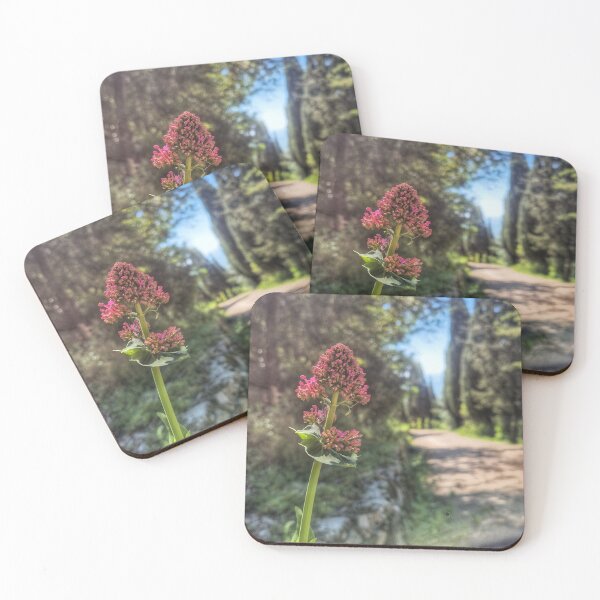 Item preview, Radiant Path Sunlit Floral Sentinel designed and sold by NaturalChroma.