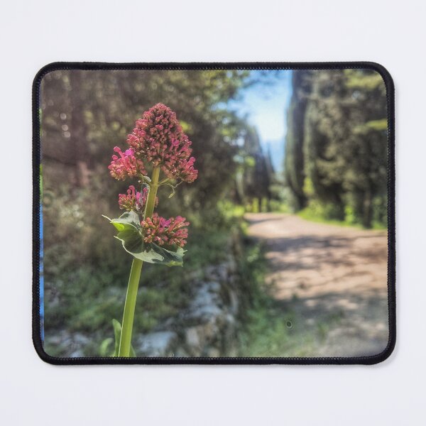 Item preview, Radiant Path Sunlit Floral Sentinel designed and sold by NaturalChroma.