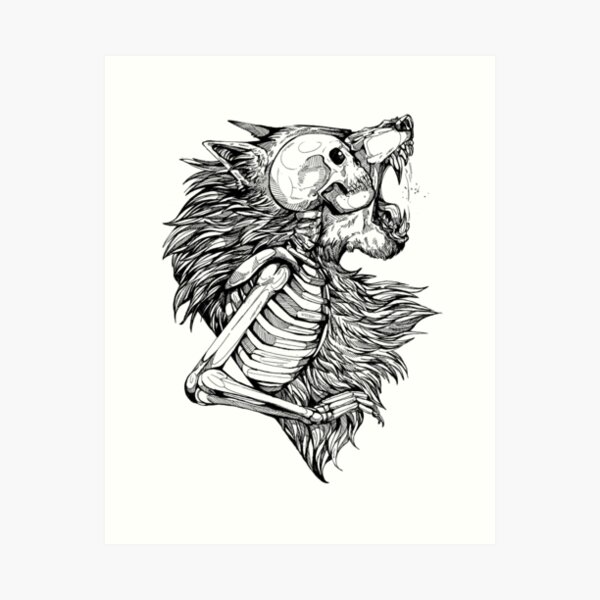 ✣ 🐺✣ Wolf skull drawing I've been working on! Very excited to say this  little piece will be at Conspiracy Theory Tattoo's “For the Love… |  Instagram