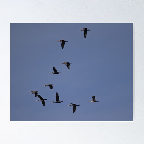 Item preview, Frozen reality - Beautiful nature 1129 designed and sold by deep-sea-birds.