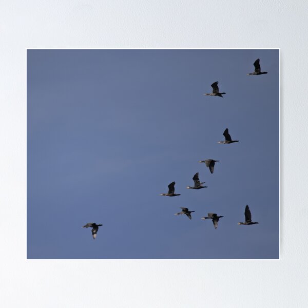 Item preview, Frozen reality - Beautiful nature 1130 designed and sold by deep-sea-birds.
