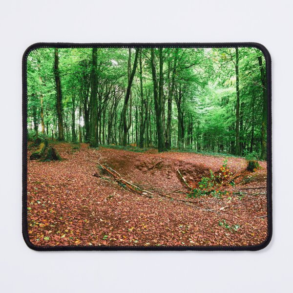Item preview, Autumn Woodland Fforest Fawr, Caerphilly designed and sold by VnGphoto.