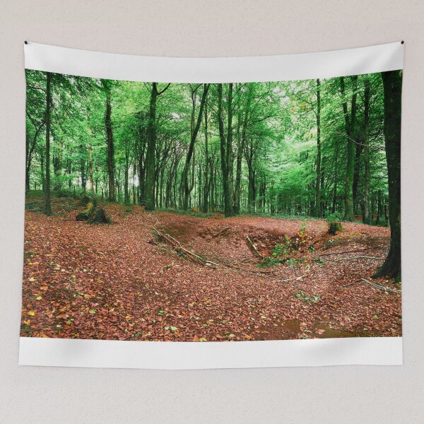 Item preview, Autumn Woodland Fforest Fawr, Caerphilly designed and sold by VnGphoto.