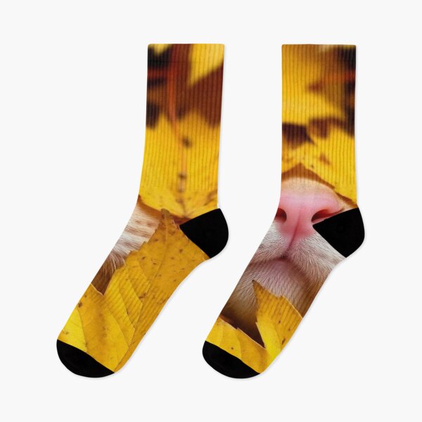 Item preview, Cute Kitten Nose In Fall Leaves designed and sold by iamdesigns14.